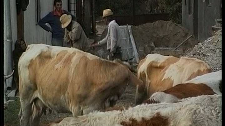 Subvenţiile creează cele mai mari probleme la Ministerul Agriculturii