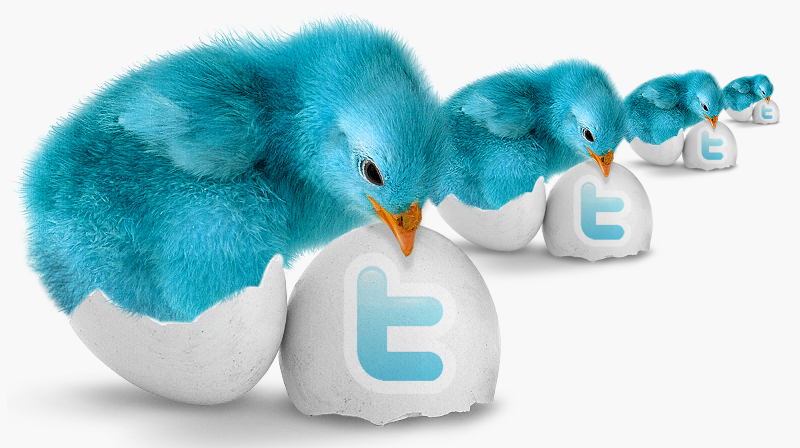SONDAJ MONEY.RO: Twitter este cuvântul anului în online-ul local