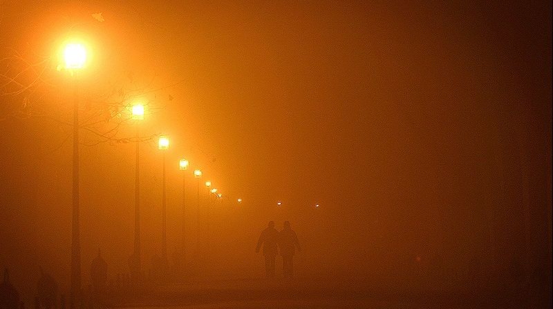 Ceaţa a îngreunat circulaţia rutieră în judeţul Tulcea