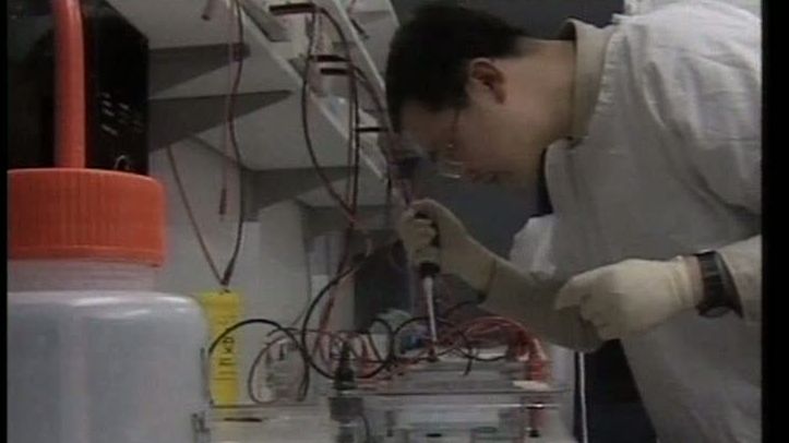 Cercetătorii britanici au identificat codul genetic a două tipuri de cancer