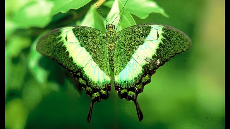 România - Danemarca, 10 ani de proiecte verzi