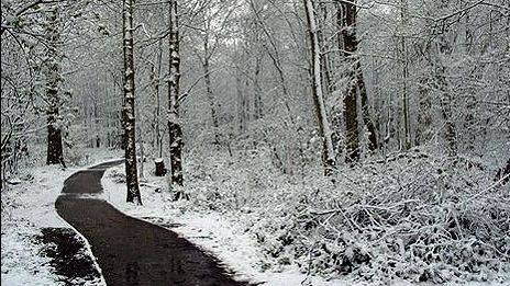 Peste 90 de persoane au decedat în Europa din cauza frigului
