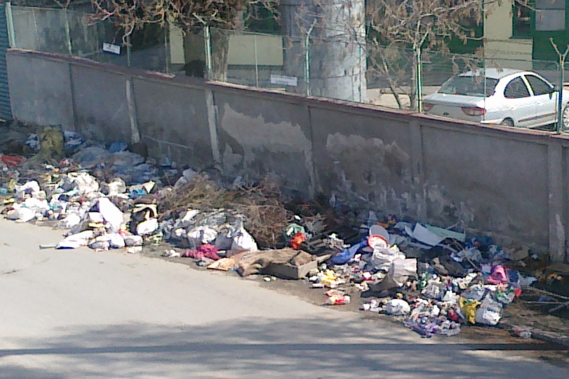 Șobolani