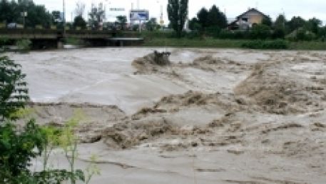 Copaci căzuţi pe carosabil, mai multe beciuri şi curţi au fost inundate