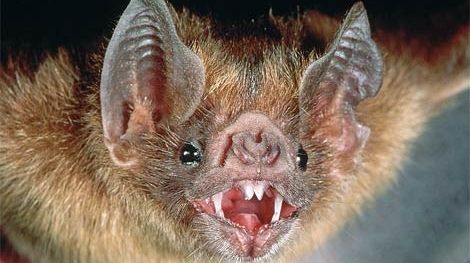 Oamenii de știință au subliniat că este necesară o monitorizare atentă