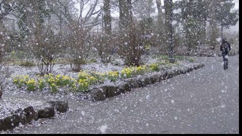 Informare meteo. Ploi, lapoviţă şi ninsori în aproape toată ţara 
