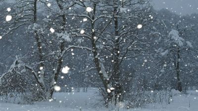 A NINS ca în povești! Mai multe zone din țară sunt acoperite de zăpadă înainte de PAȘTE