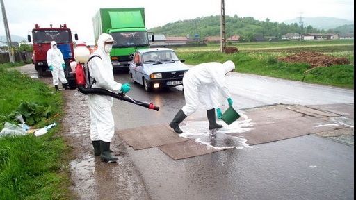 26 de focare de gripă aviară active în Teleorman. Aproximativ 500 de păsări au fost ucise