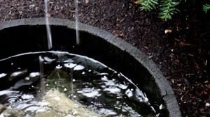 Multe țări fac risipă deși au ănceput să aibă probleme cu apa pe timpul verii/ Foto: nrdc.org