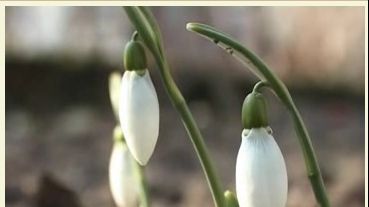 Vremea se menţine caldă! Prognoza meteo pe trei zile 