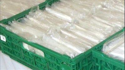 CAPTURĂ RECORD de COCAINĂ: 7,6 tone. Valorează peste 300 milioane de dolari - unde era ascunsă