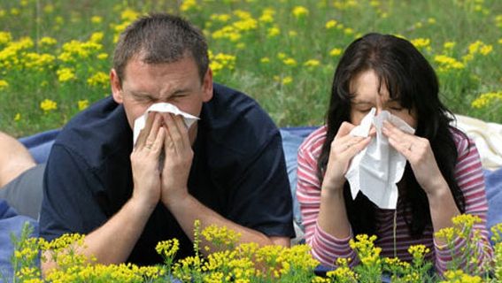 Cum poţi scapa de alergia la polen?