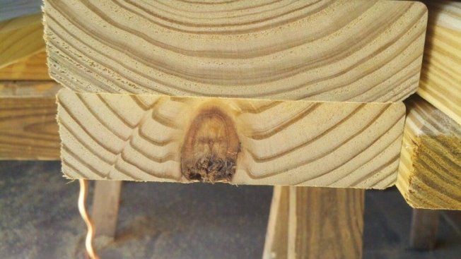 Ce a găsit un bărbat în timp ce tăia lemne? Caută o EXPLICAŢIE 