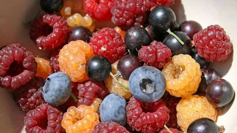 Beneficiile uimitoare ale fructelor de padure