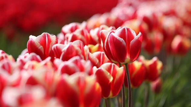 PROGNOZA METEO pe 3 zile. WEEKEND cu VREME FRUMOASĂ şi maxime de 22 de grade