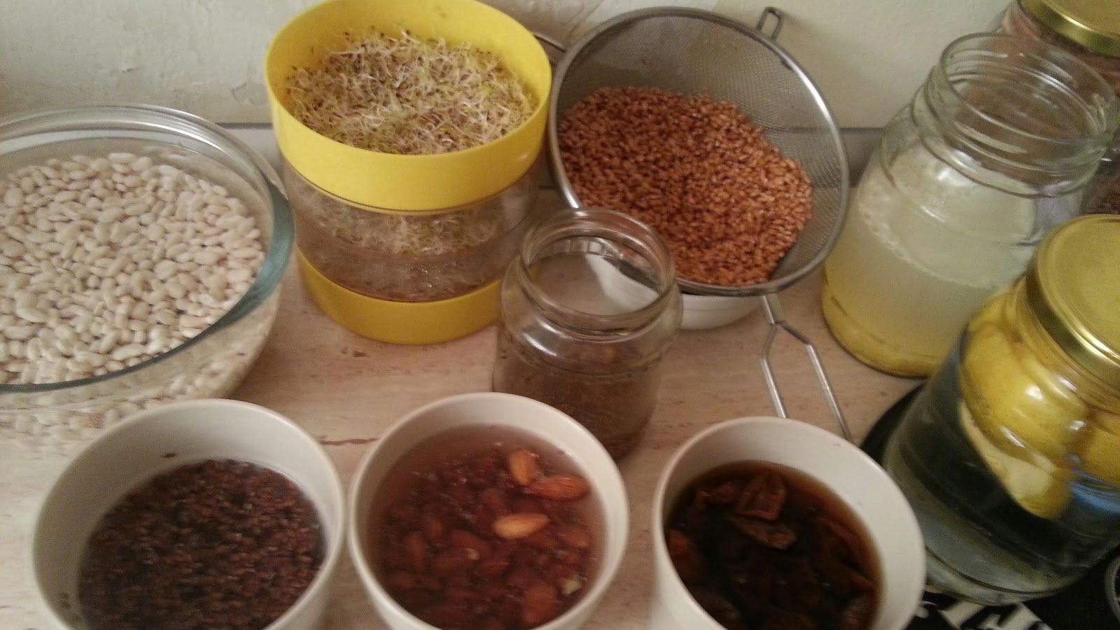 5 motive sa incluzi alimentele germinate in dieta ta