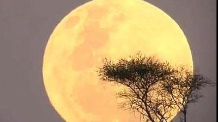 Fenomen astronomic rar, în această noapte. Ultimul a avut loc în 1982, următorul va avea loc în 2033