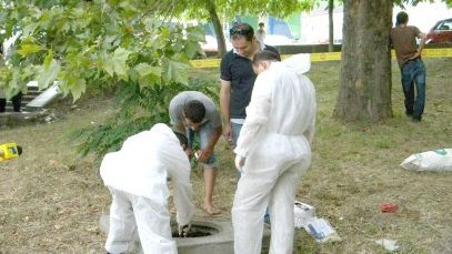 Au săpat în curtea liceului și au rămas șocați de ce au descoperit