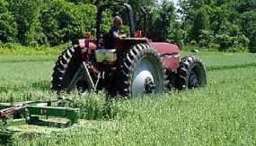 AGRICULTURĂ. Fermierii vor primi mai mulţi bani ca SUBVENŢII de la stat
