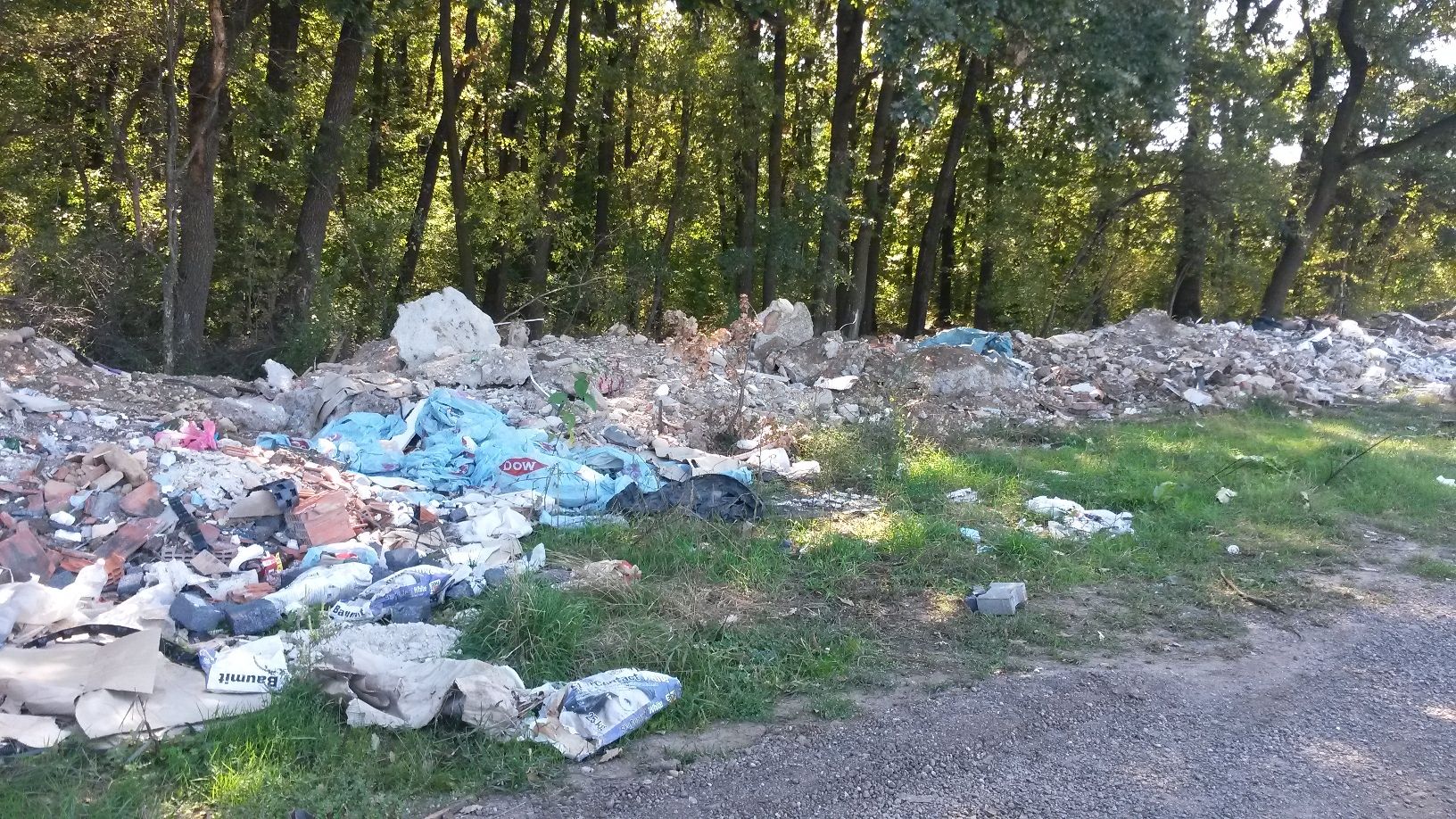 Acțiune de ecologizare a pădurii Băneasa 