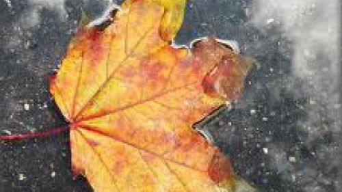PROGNOZA METEO pe 3 zile: nu scăpăm de PLOI. Cum va fi VREMEA la finalul săptămânii