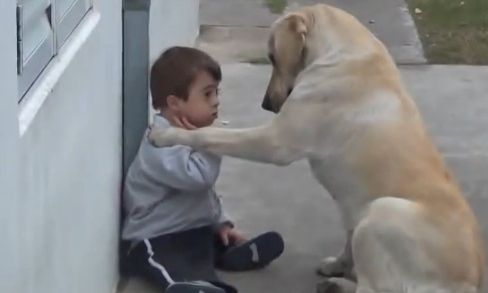 Cea mai iubitoare căţeluşă din lume. Gestul care-l face pe un copil cu sindrom Down s-o îmbrăţişeze