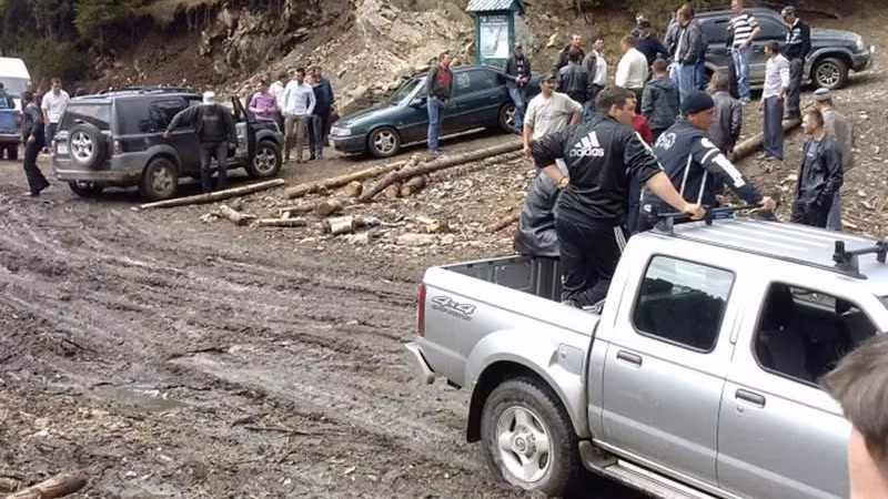 Descinderi la mafia lemnului (arhivă)