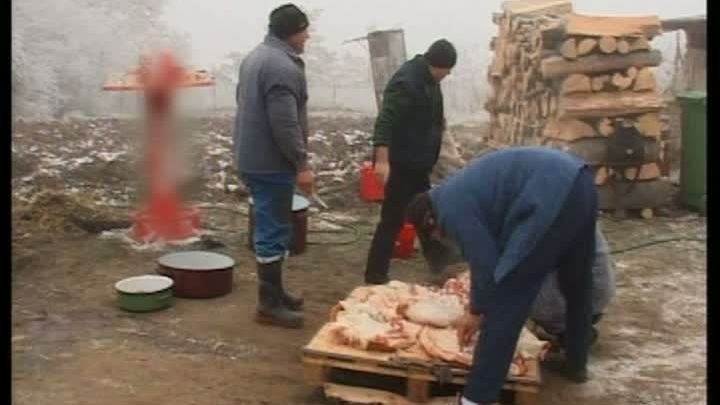 IGNAT. Tradiții și obiceiuri de IGNAT 