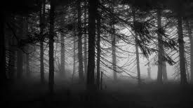 Locul blestemat din România. Localnicii sunt îngroziţi: Sânge peste tot!