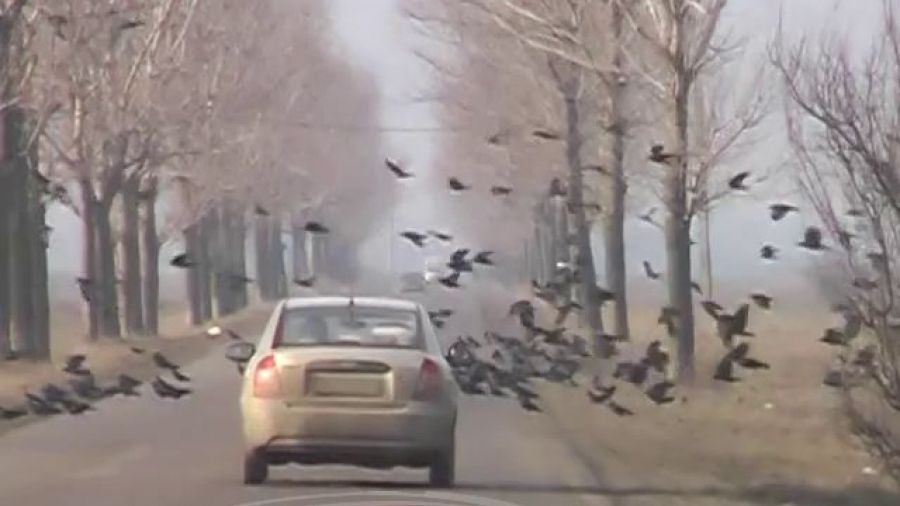 Imagini apocaliptice pe un drum judeţean. Doar într-un film celebru ai mai văzut aşa ceva