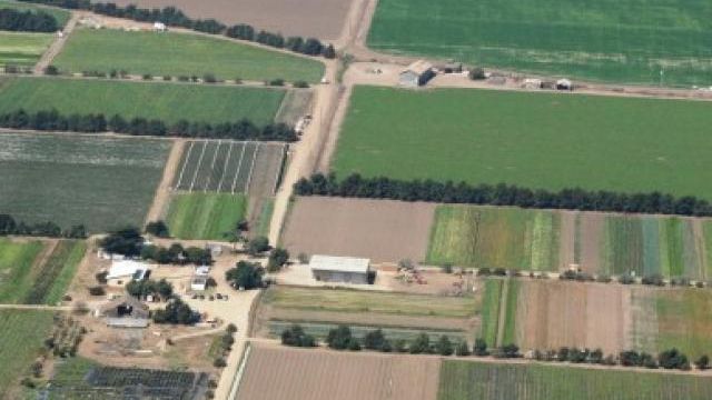 Oficial al ambasadei Ungariei: Statul maghiar va cumpăra pământ în România