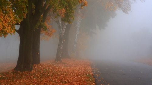 Temperaturi CALDE pentru IANUARIE. Când vin PLOILE: prognoza meteo pe 3 zile