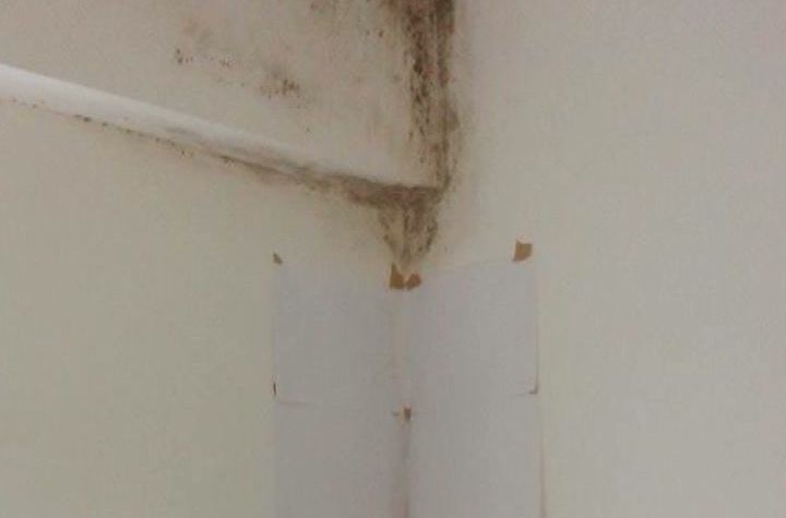 INCREDIBIL! Renovări cu COLI DE HÂRTIE la Spitalul Judeţean Craiova