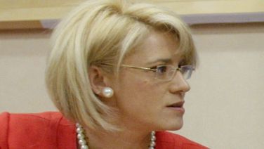 Creţu: PDL are o tăcere complice la campania antiromânească; preocuparea lor, imaginea lui Băsescu