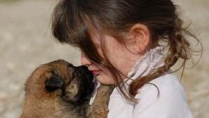 Veste sfâşietoare pentru iubitorii de animale. Începe chiar în această săptămână