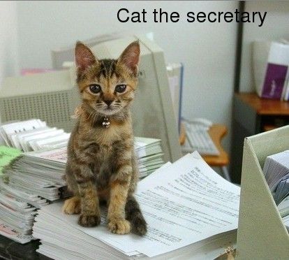 BANCUL ZILEI. Ce-a văzut secretara?