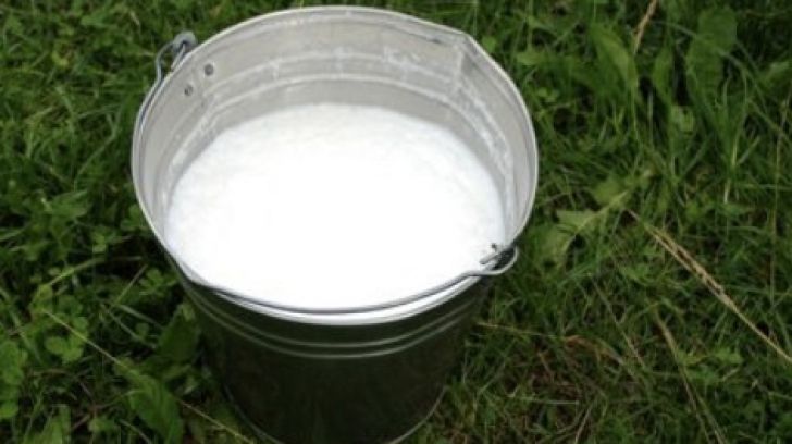 Laptele şi brânzeturile, MAI SCUMPE cu 20% 