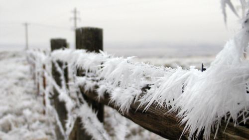 CULMEA GERULUI în România: Minus 22 de grade Celsius, înregistrate la Negreşti, Vaslui