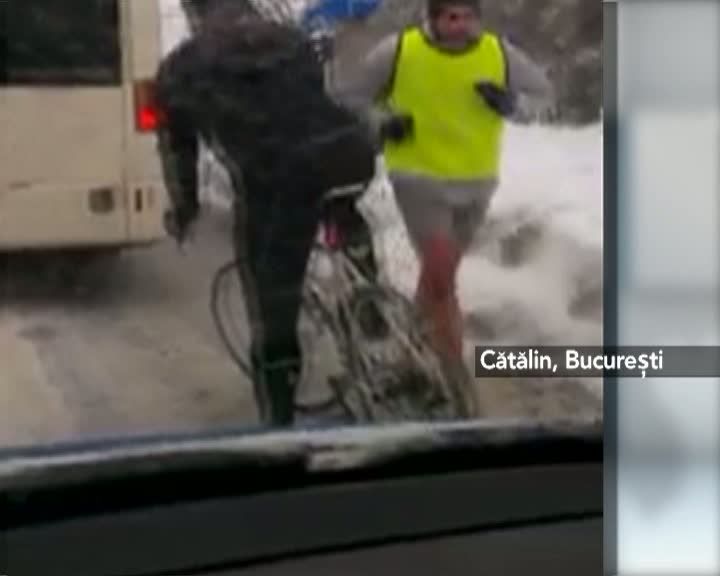 MARTOR OCULAR. Troienele şi gerul nu SPERIE pe toată lumea: iarna e ca vara în Bucureşti