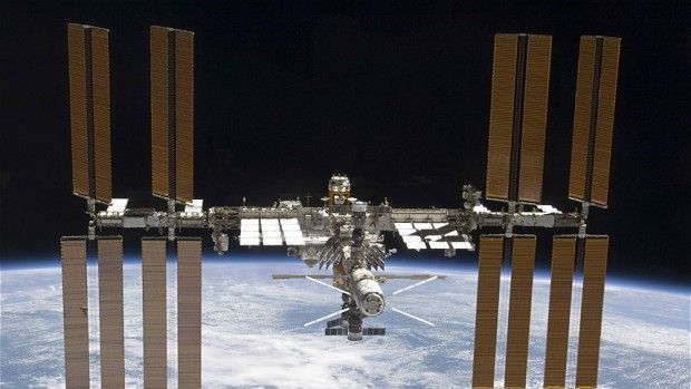 NASA a trimis 800 de furnici în spaţiul cosmic, pentru a le studia comportamentul
