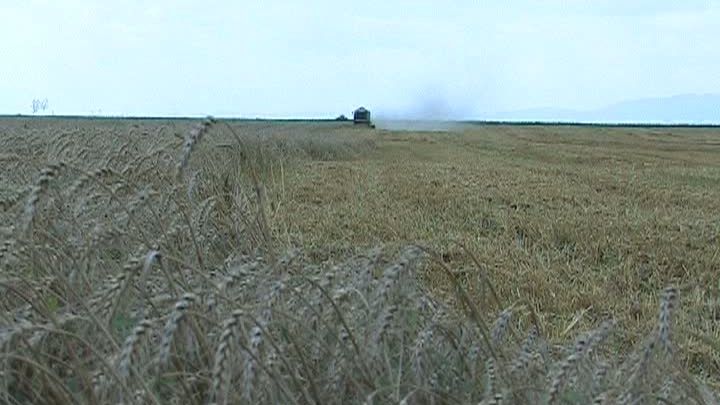 LATIFUNDIARII PARLAMENTULUI. Politicienii care ar putea lucra pământul cot la cot cu Traian Băsescu