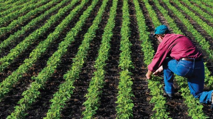 Fostul director al APIA Satu Mare, trimis în judecată pentru că a luat mită de la fermieri