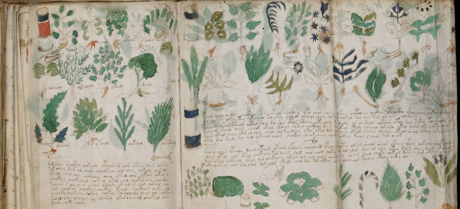 Nimeni nu a DESCIFRAT acest manuscris de 600 de ani. CE SECRET ascund plantele
