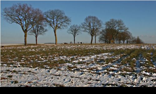 Ianuarie începe cu VREME FRUMOASĂ. Prognoza meteo până în WEEKEND