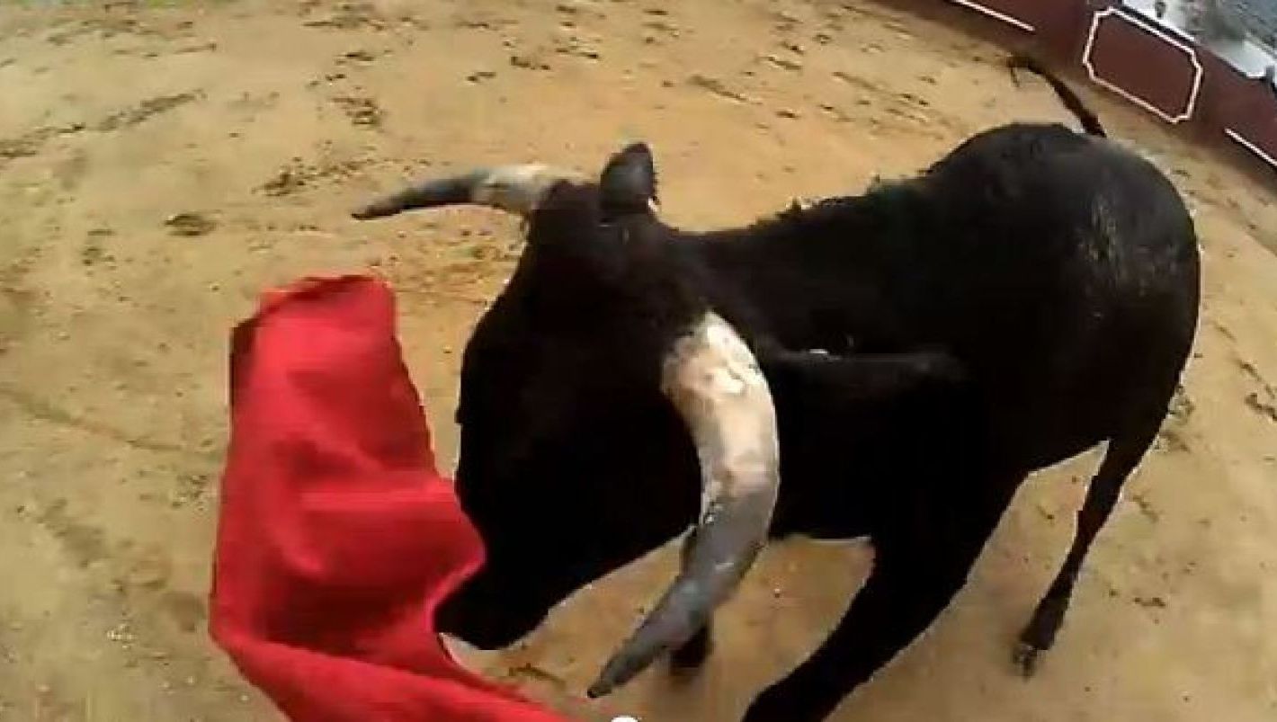 MOMENT DRAMATIC: O tânără, aruncată câţiva metri în aer de un taur