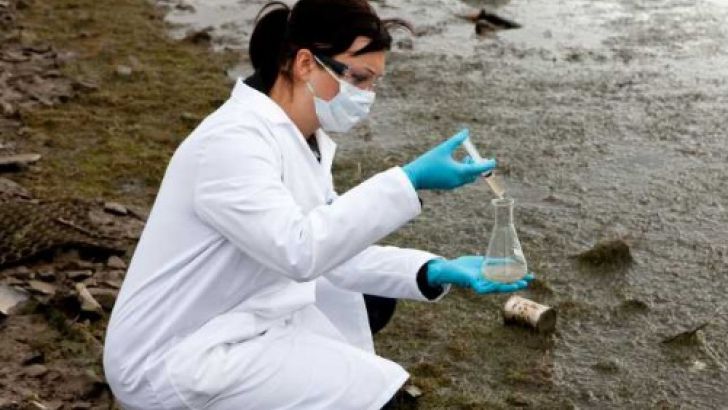 DEZASTRU ECOLOGIC. În apele Dunării continuă să se scurgă substanțe chimice din 24 decembrie 