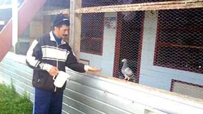 Florin Pușcoci, românul care vorbește cu păsările 