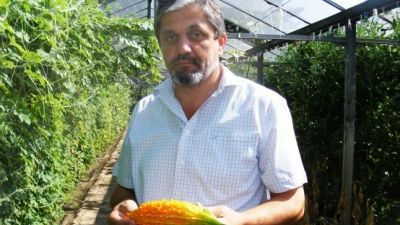 SUPERLEGUME care rezistă la SCHIMBĂRI CLIMATICE! Roşiile, ardeiul sau fasolea incluse în EXPERIMENT 