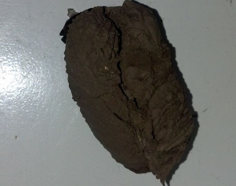 A rămas şocat de ce a descoperit în tavanul de la bucătărie