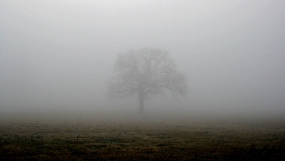 NOWCASTING. Cod galben de ceaţă 